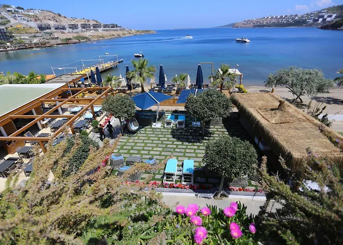 Casa Ja Voi Hotell